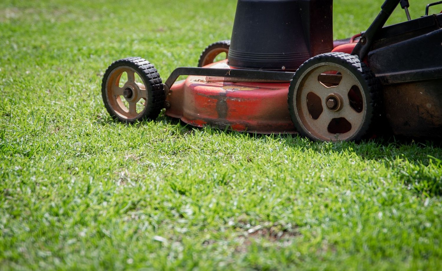Lawn or Garden: Where to Spend Your Outdoor Budget