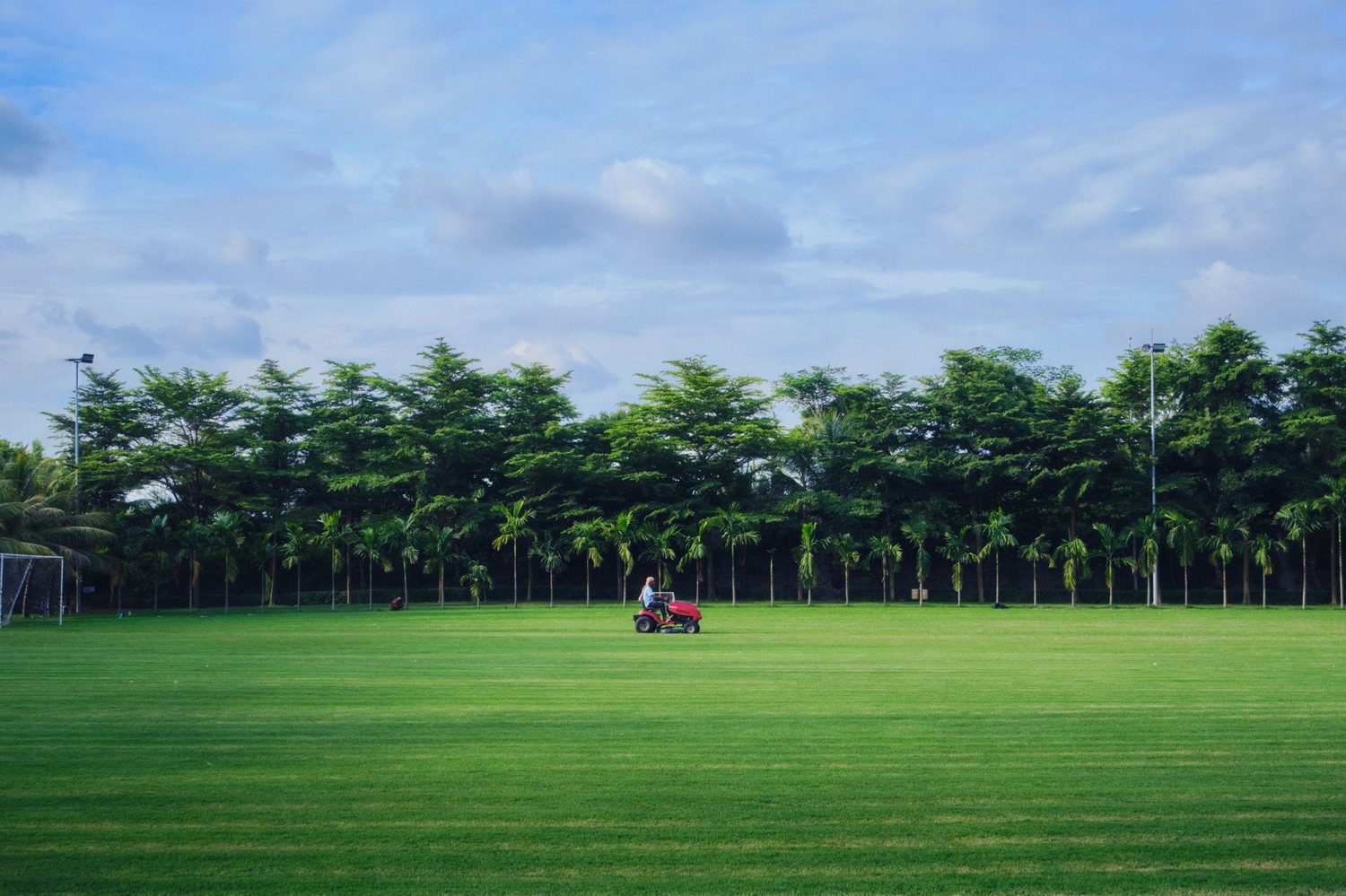 Lawn or Garden: Where to Spend Your Outdoor Budget