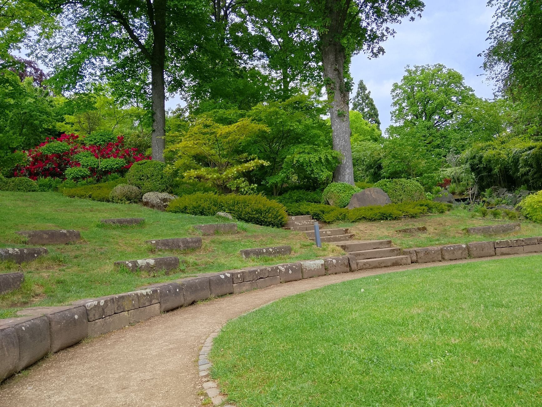A designed Auckland garden with lawn and planting