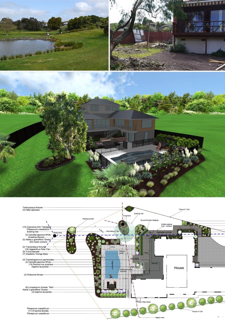 A garden design board with pond and planting